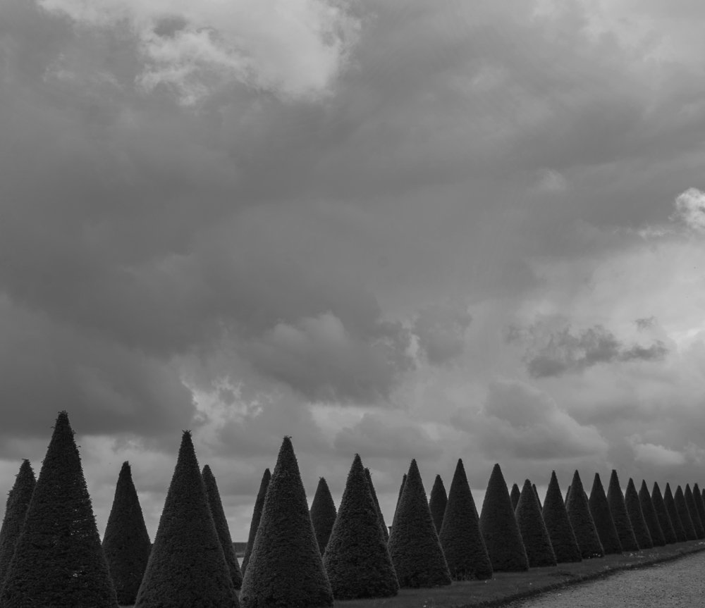 Conical Garden