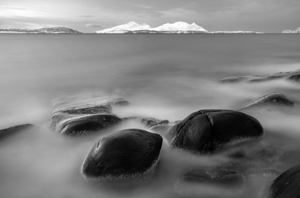 Живые камни