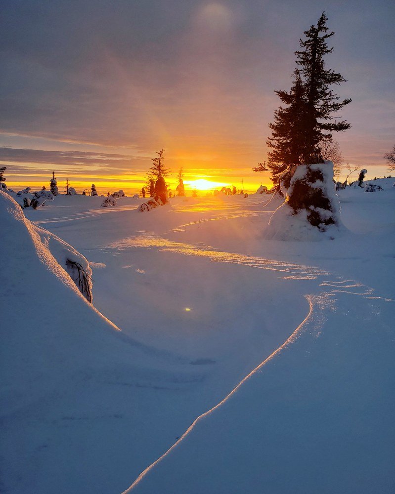 Photograph by Василий Яковлев