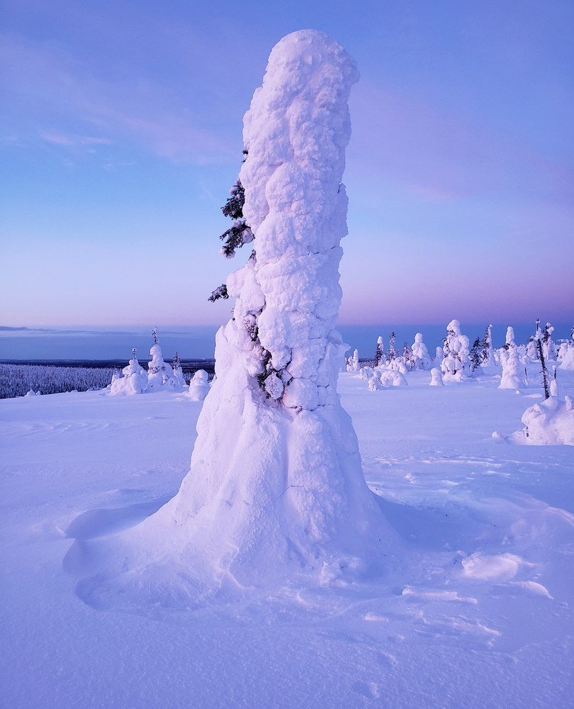 Photograph by Василий Яковлев