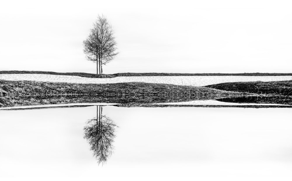 Три в одном