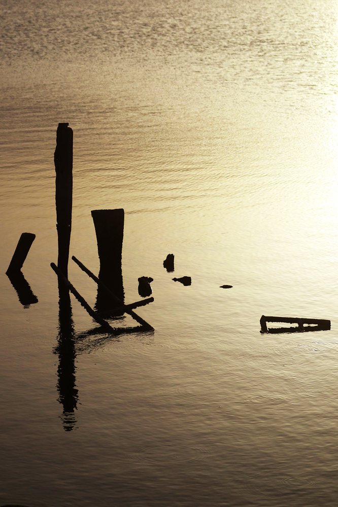 reflet