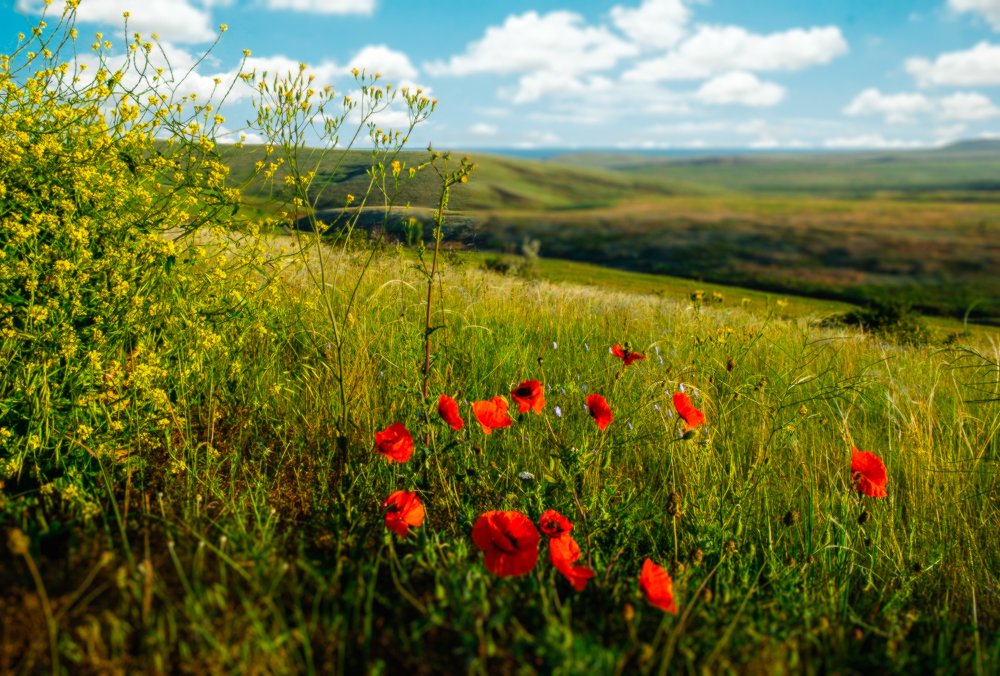 Photograph by Збруев Сергей