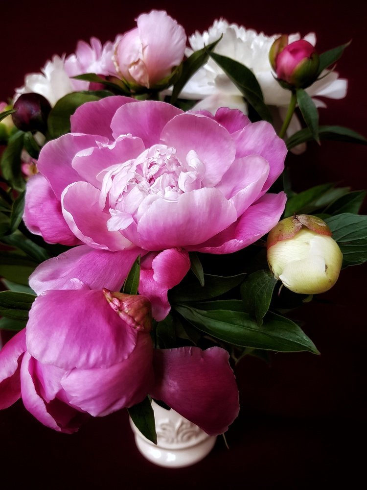 Photograph by Marcin Sokolowski - maarew