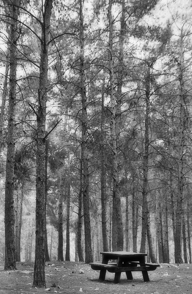 Конец сезона