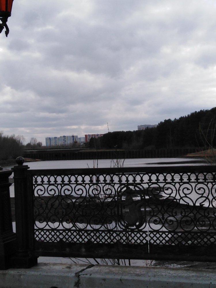 Photo #3246753