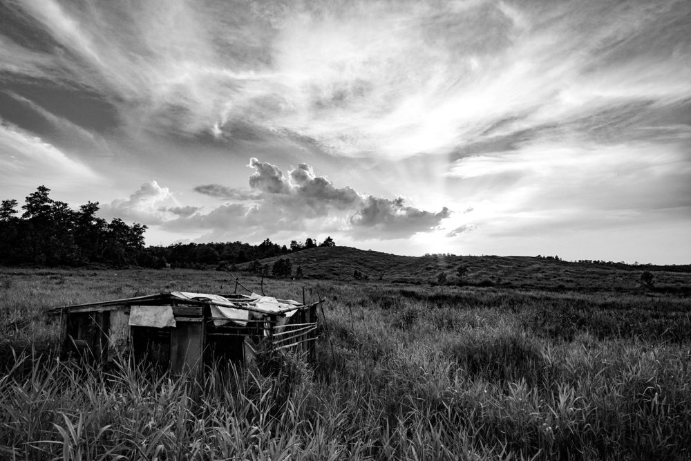 Sunset by the broken shed