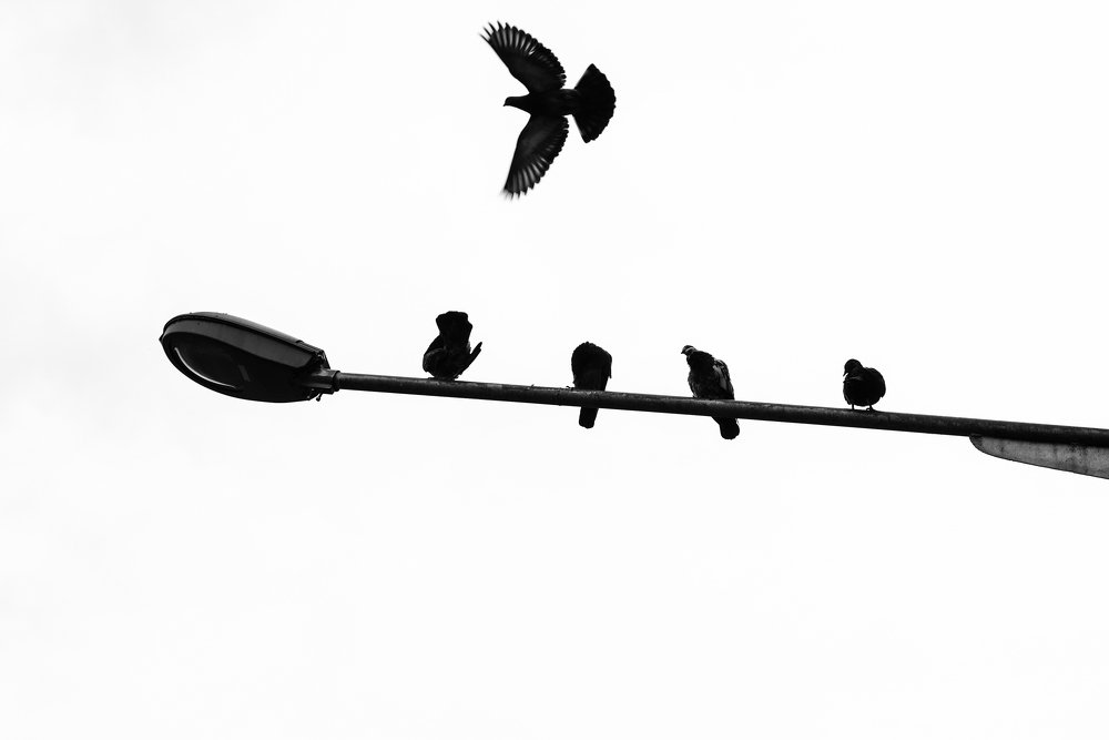 Prepare for take off