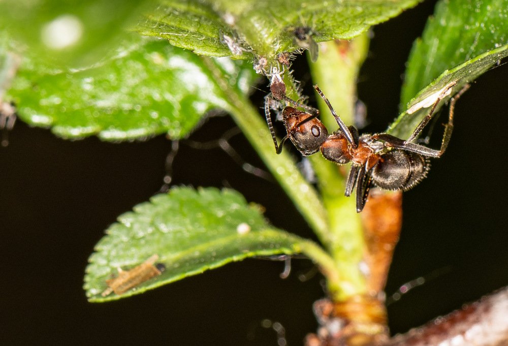 Врёшь, не уйдёшь!