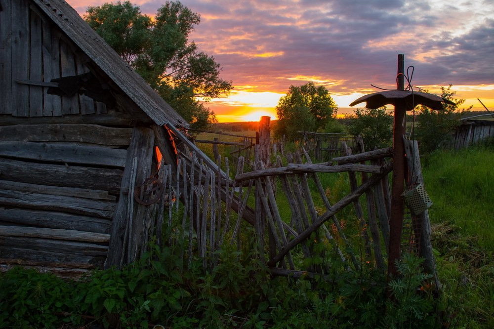 Беспризорность