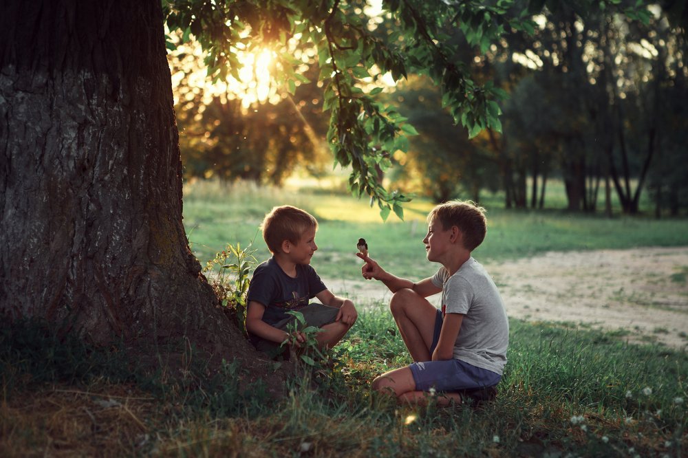 Пернатый друг