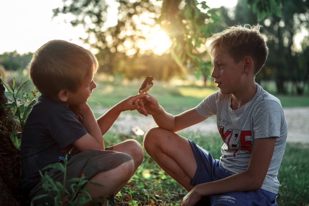 Пернатый друг