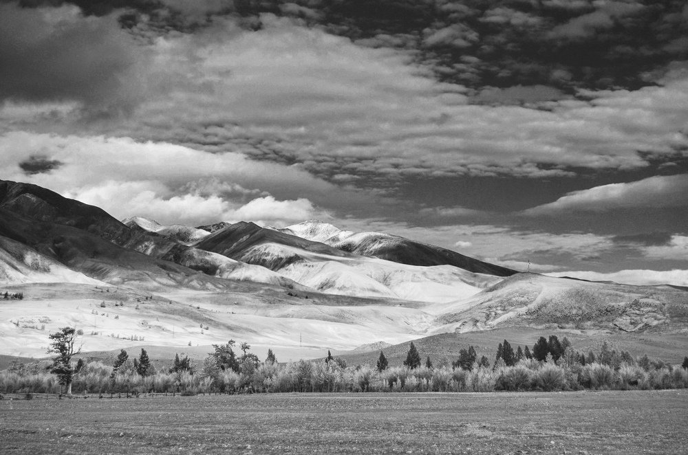 Алтай не тай