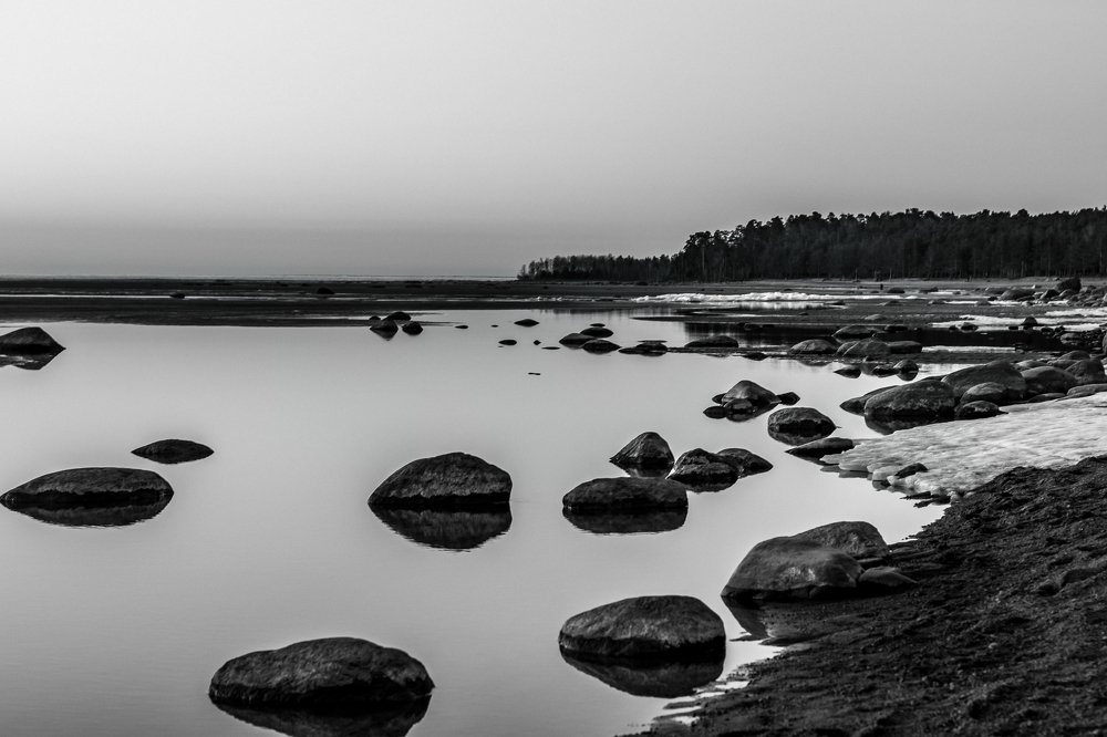 The Gulf of Finland. Russia.