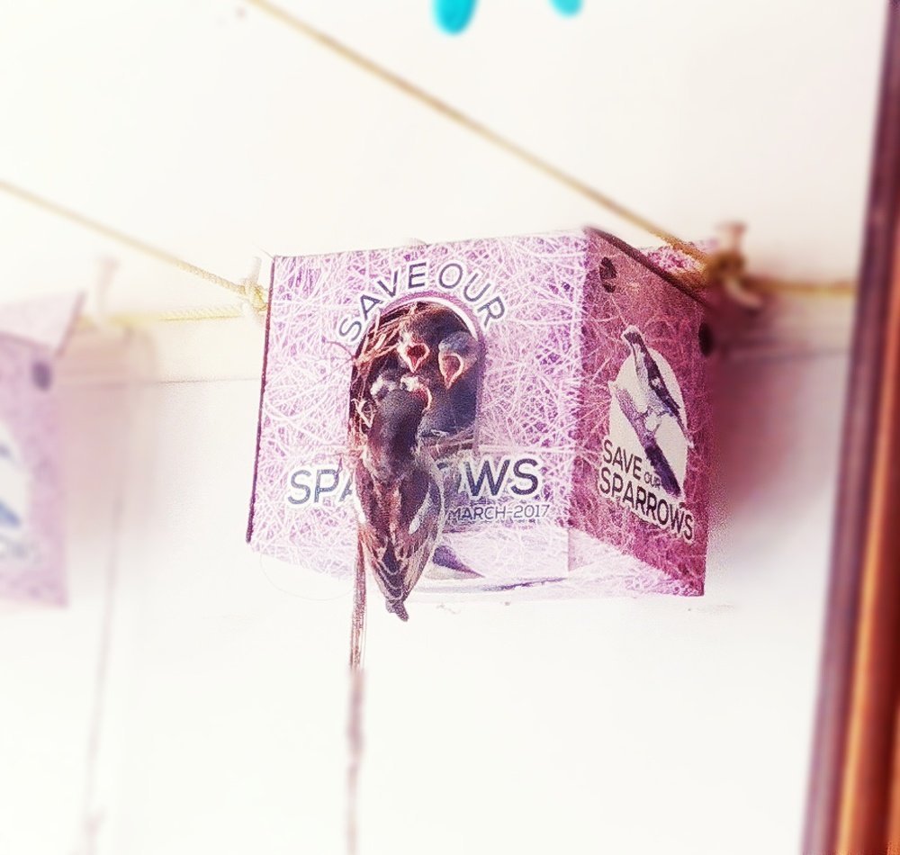 Save our sparrows