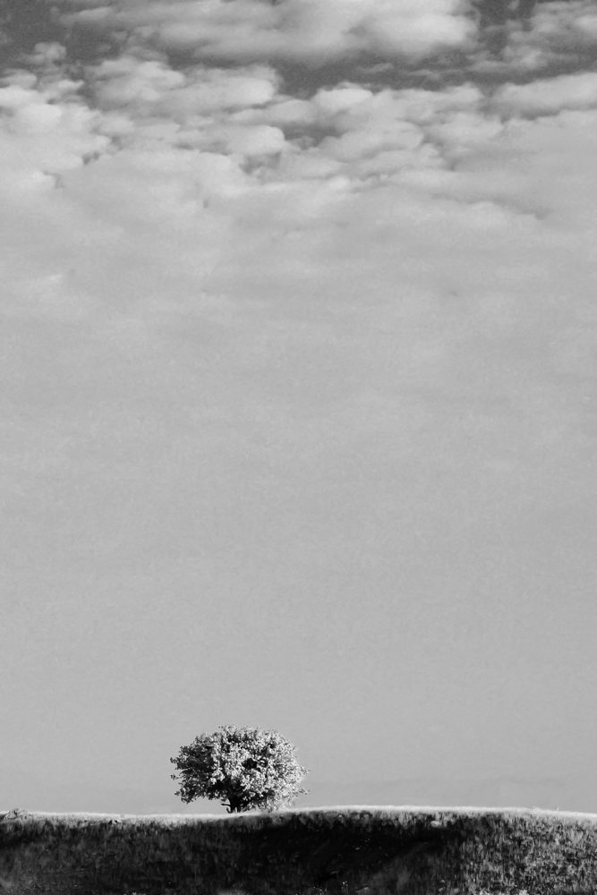 Photograph by elmira