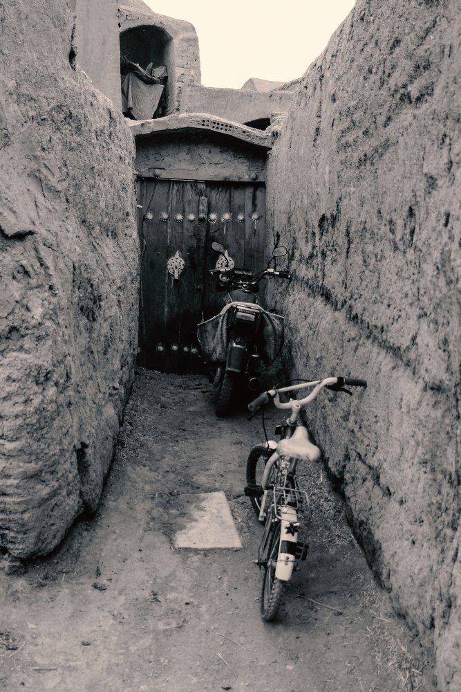 Photograph by elmira