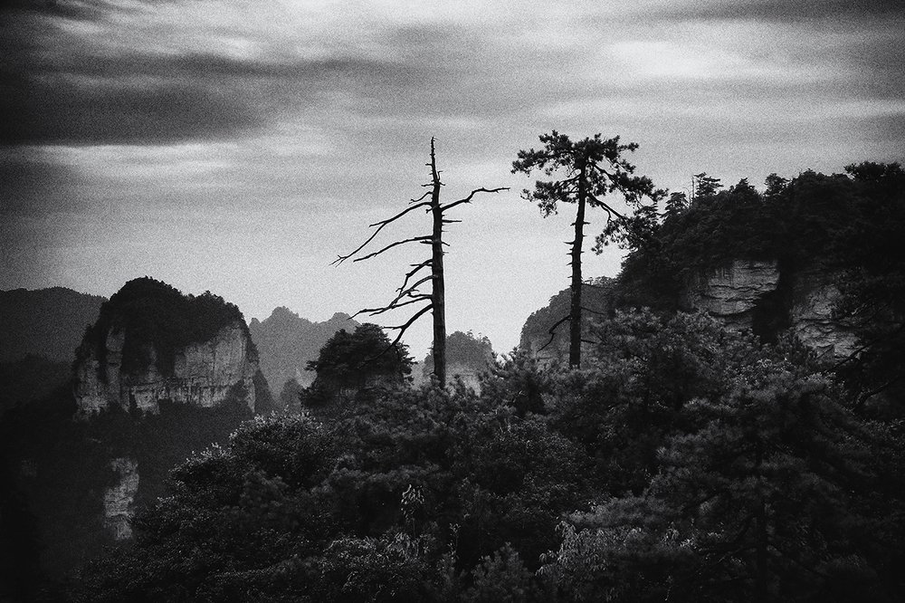 Горы Чжанцзяцзе