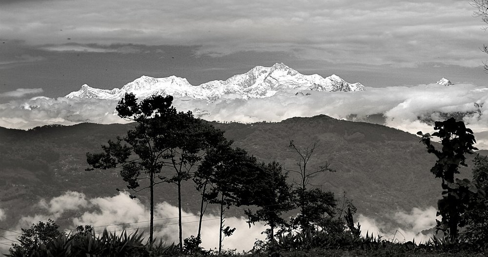 Photograph by Souvik DEY