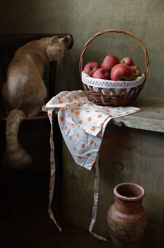 Кот и корзина яблок