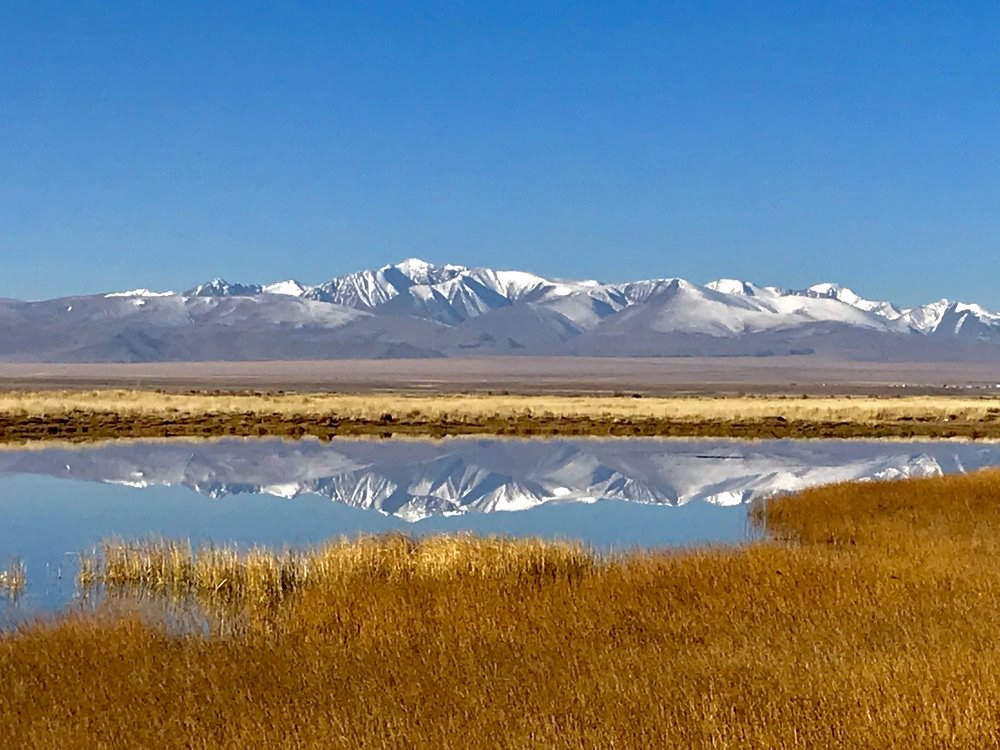 Кош-Агач. Отраженье