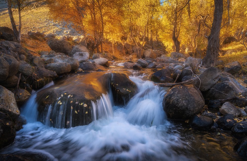 Золотой Алтай