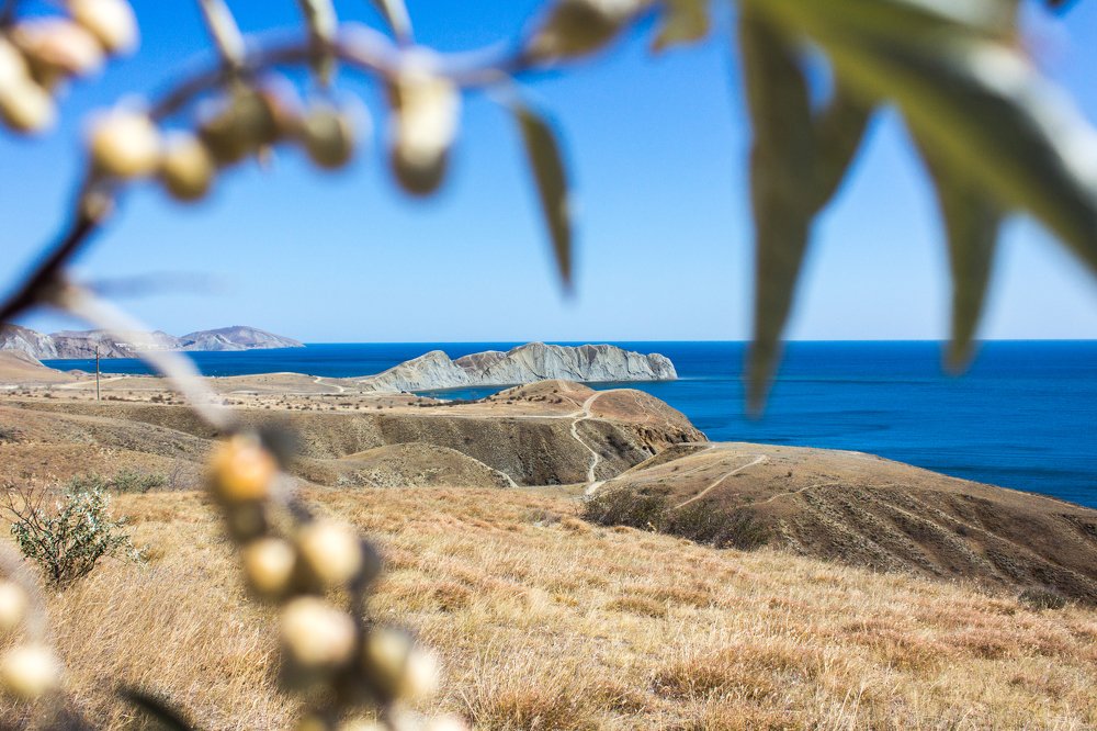 Вид на Хамелеон