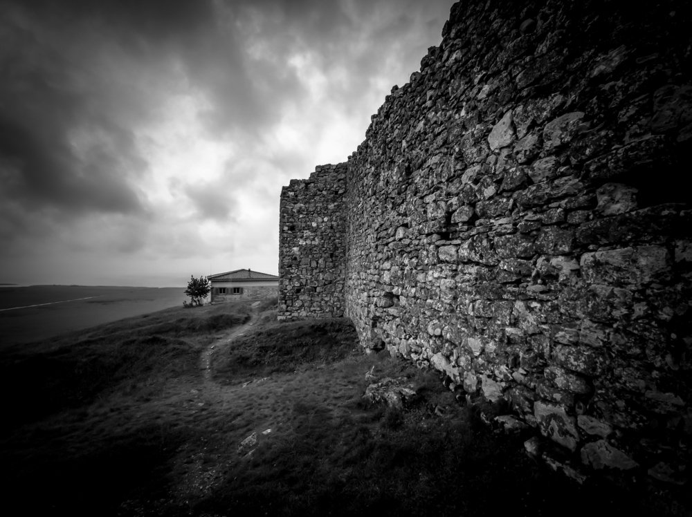the house with blue windows