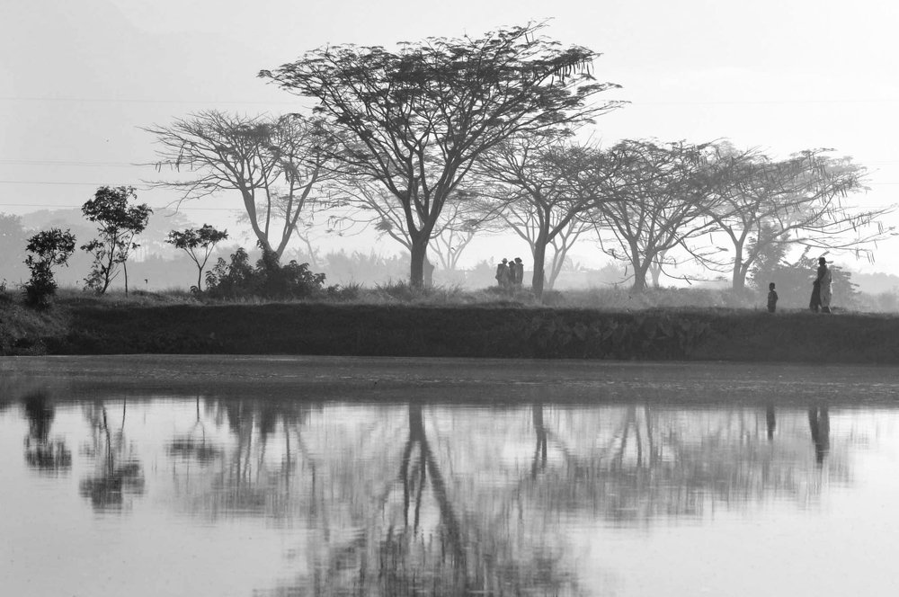 one morning between trees and ponds