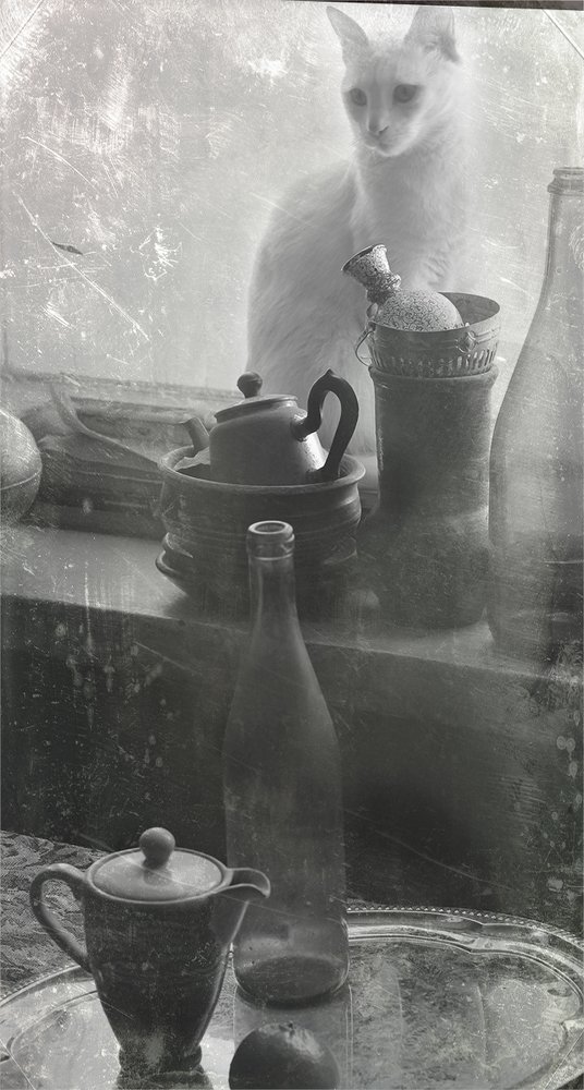 Натюрморт с котом на подоконнике