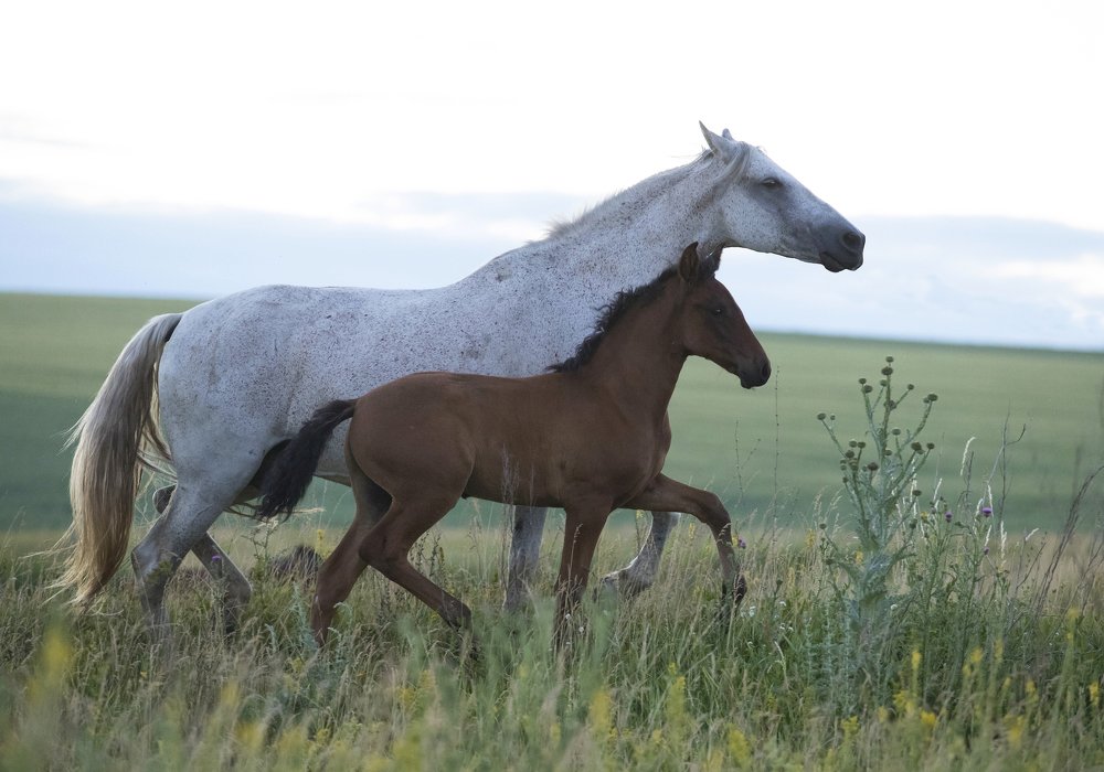 Photograph by Татьяна Немова