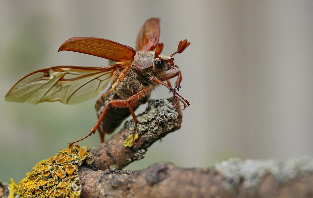 Photograph by Игорь Осипов