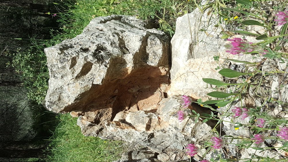 Природа Израиля.