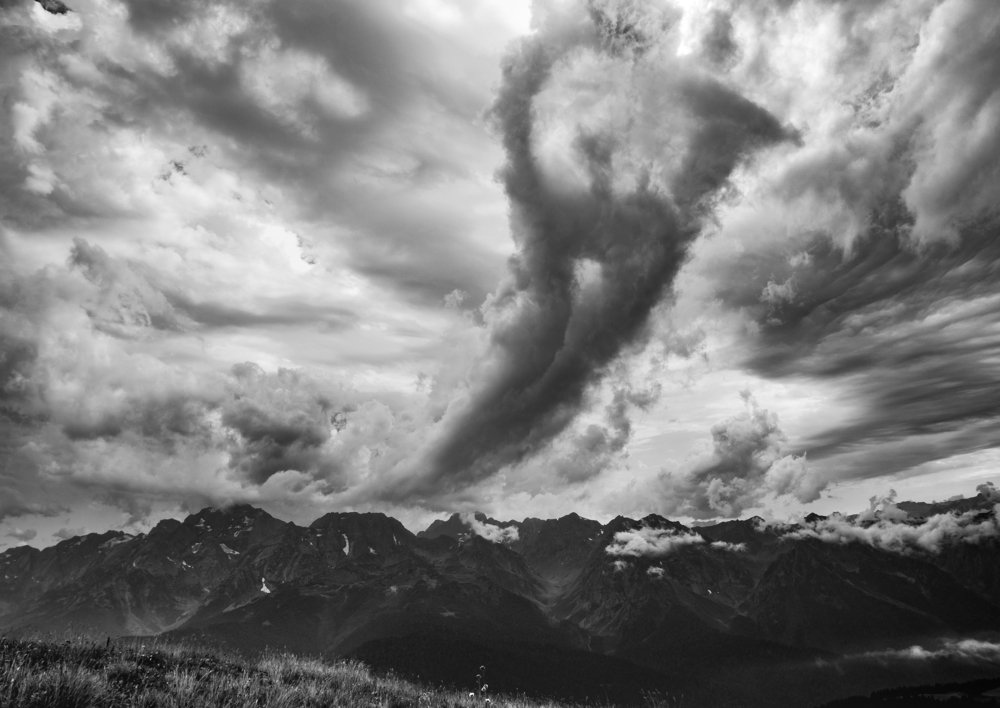 На языке природы