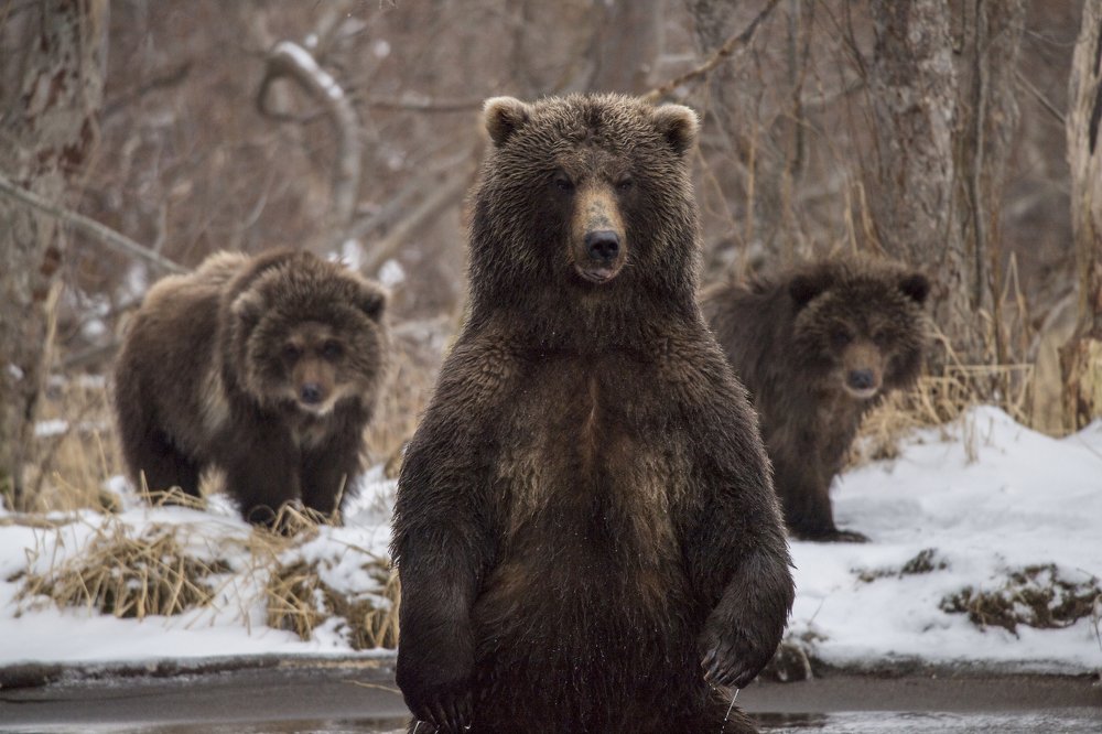 Мама ловит рыбку