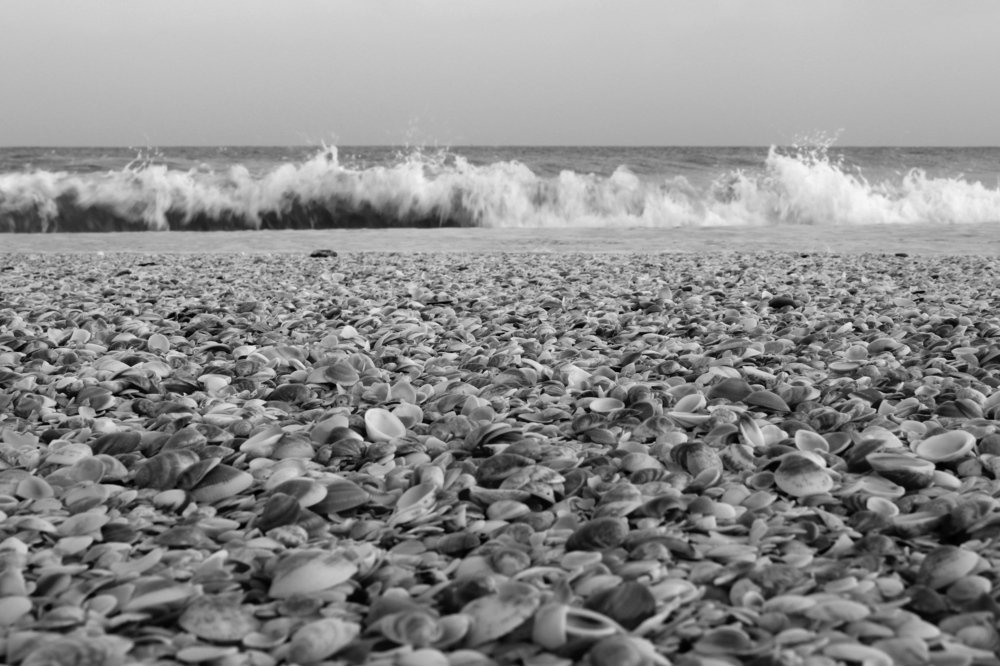 Mediterranean Sea. Morning Beach.