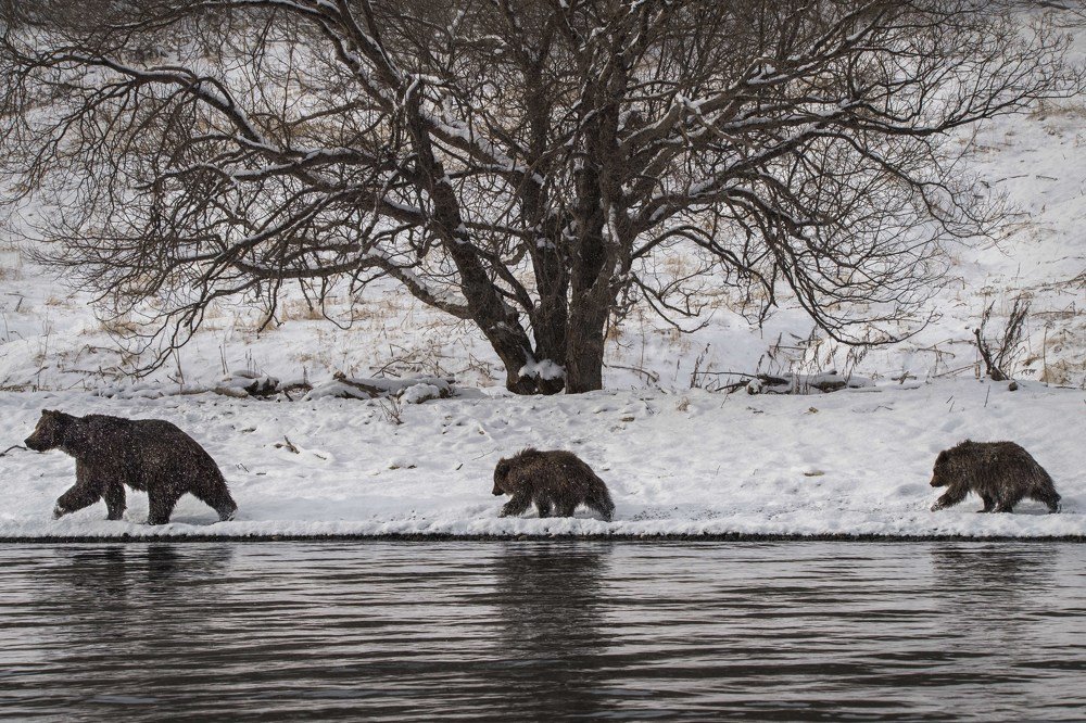 Дневной обход