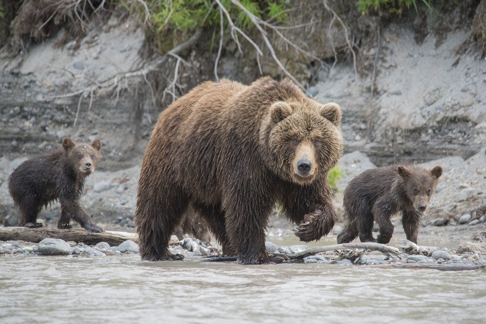 С мамой по делам. Ну или просто с мамой