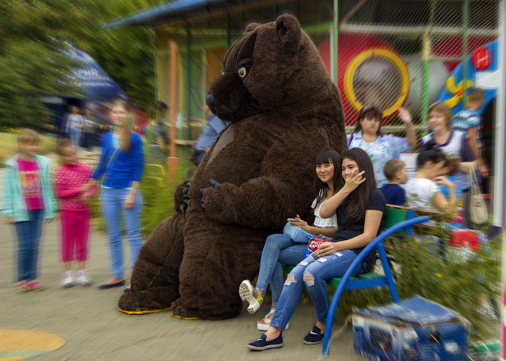 Teddy bear - recruitment