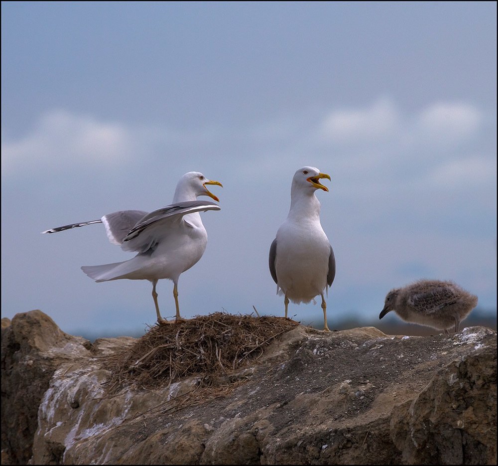 Воспитательный процесс