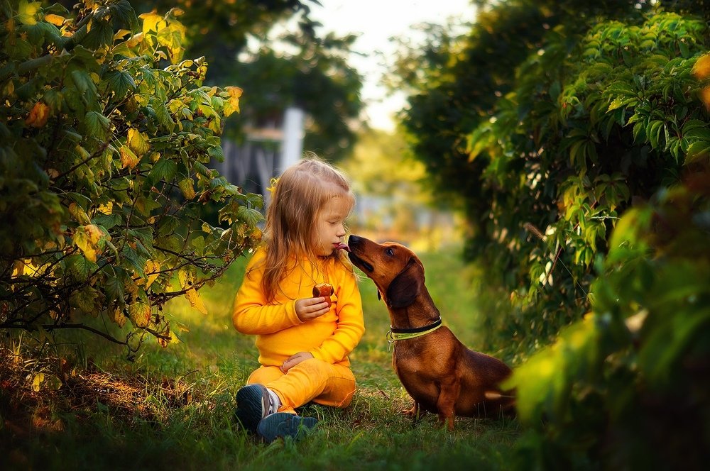 Знакомство с Чаби