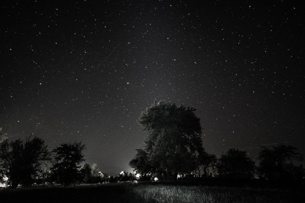 Ночная сказка