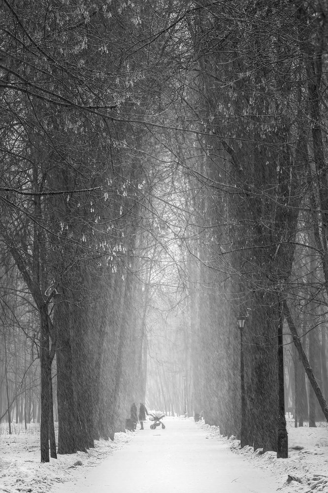 Снегопад в начале весны