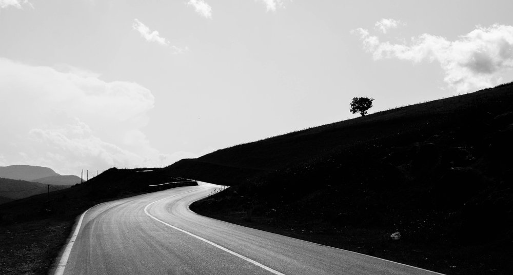 Photo #3248343