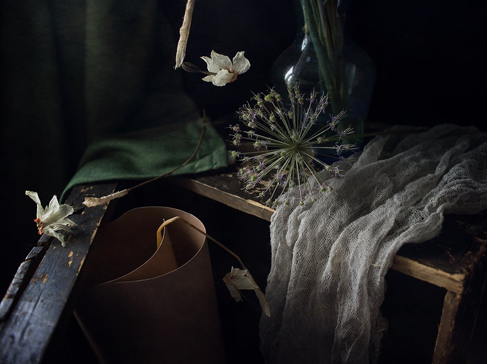 сухие цветы