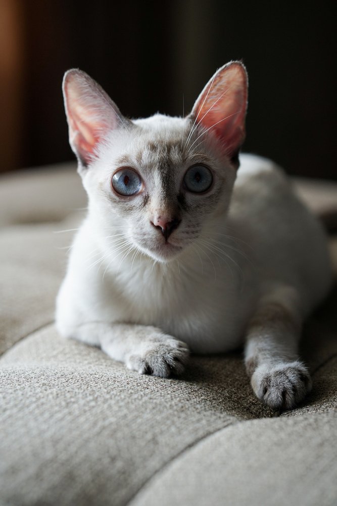 I got my eyes on you