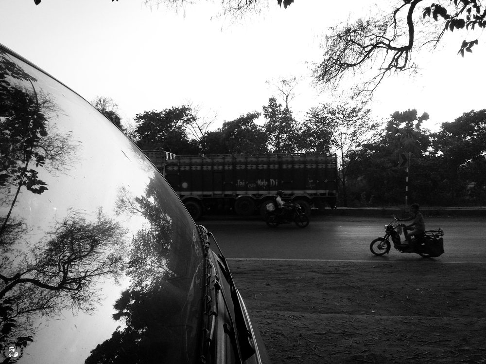 Naturescape.  Phone shot