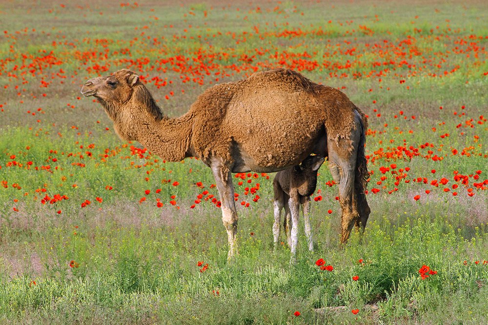 Доброе утро