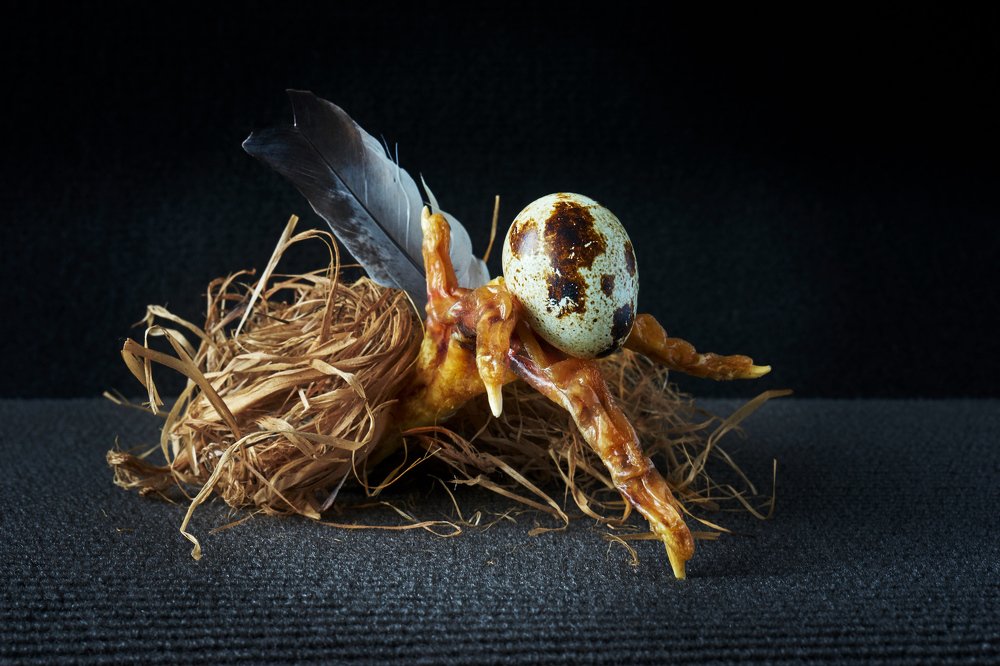 Не помним начала, не знаем конца....