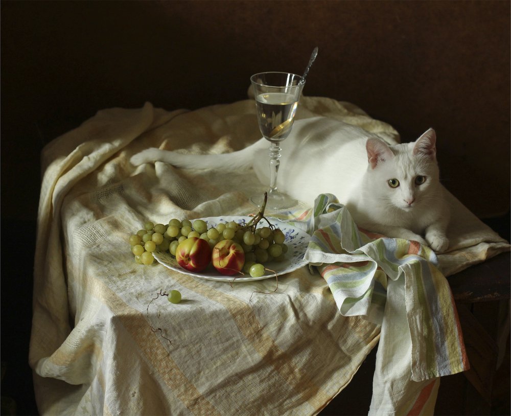 Натюрморт с любимым котом Ваней.